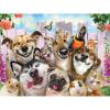 Puzzle 3D - Selfie - Kučni ljubimci 500 kom