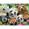 Puzzle 3D - Medvjedi 500 kom 61x46cm Selfie
