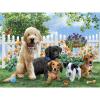 Puzzle 2D/3D - Psi u dvorištu / Proljetni štenci 63 kom 31x23cm Giordano